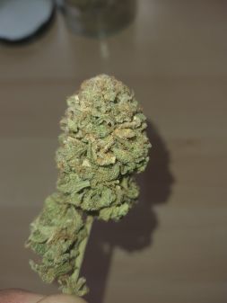 Review photo #3