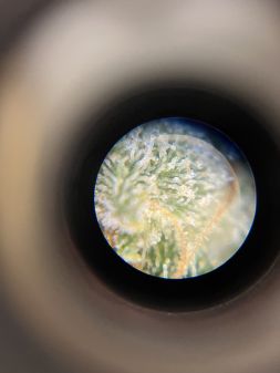 Review photo #1
