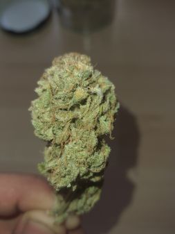 Review photo #1