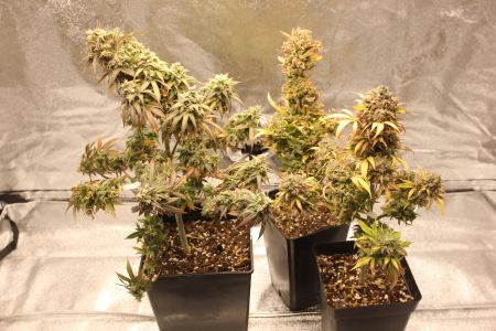Review photo #2