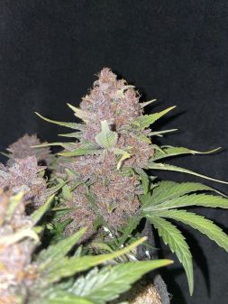 Review photo #3