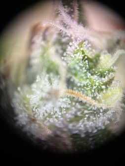 Review photo #2