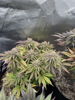 Review photo #5