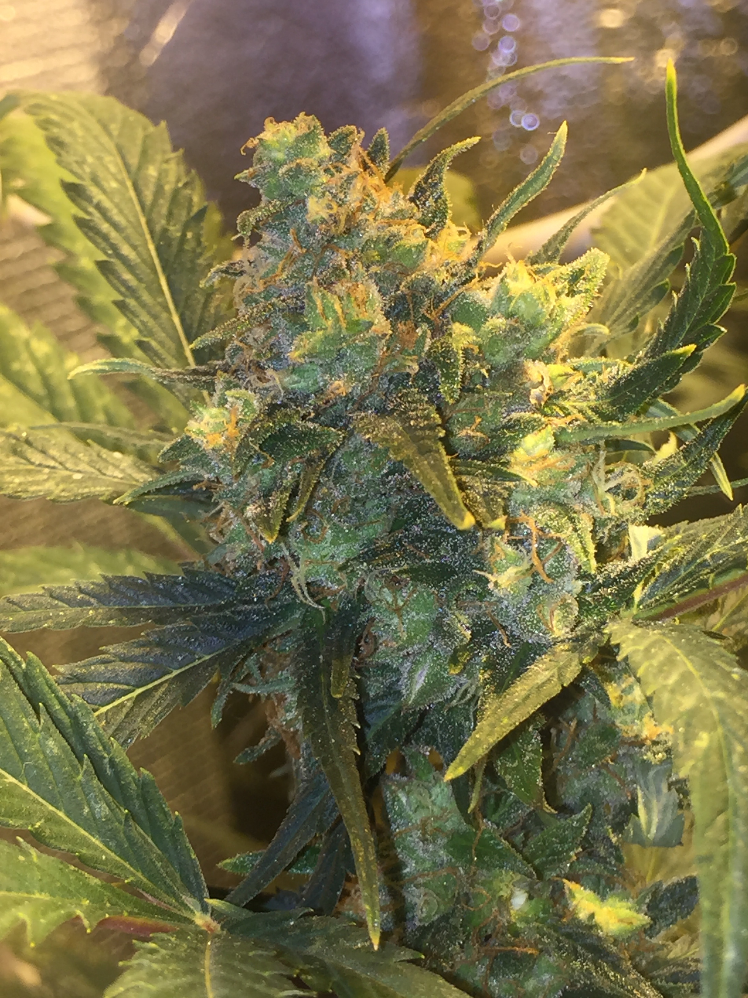 Review photo #2