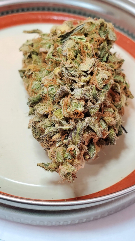 Review photo #2