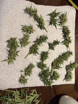 Review photo #4