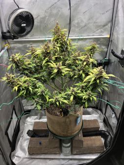 Review photo #3