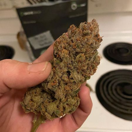 Review photo #4