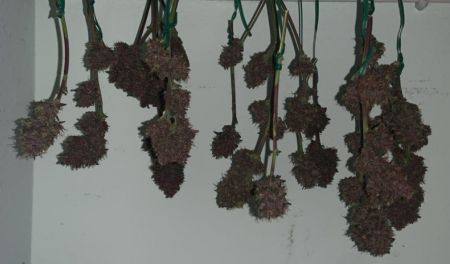 Review photo #1