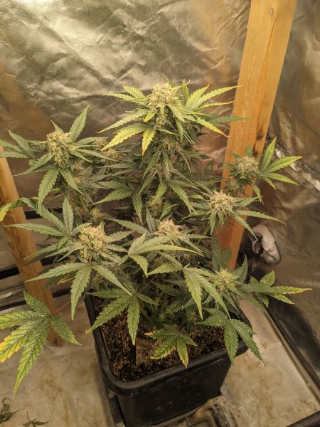 Review photo #3