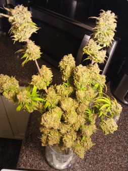 Review photo #2
