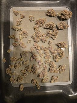 Review photo #6
