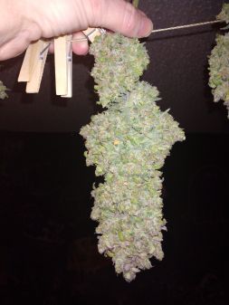 Review photo #3
