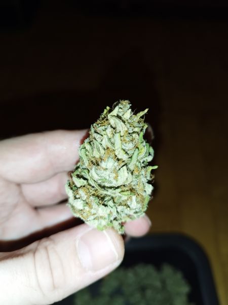 Review photo #2