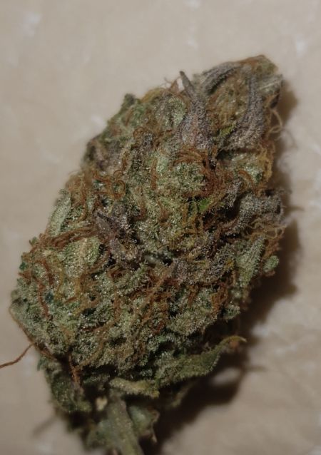 Review photo #1