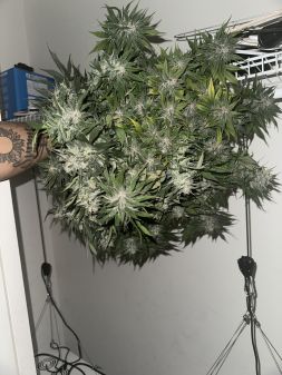 Review photo #1