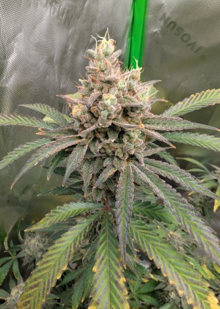 Review photo #3