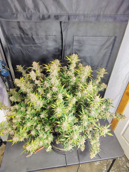 Review photo #2
