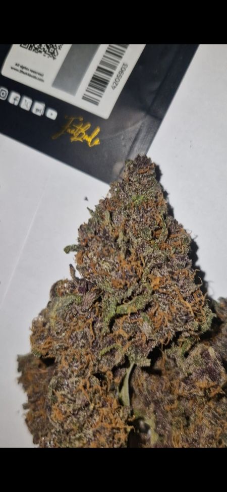 Review photo #5
