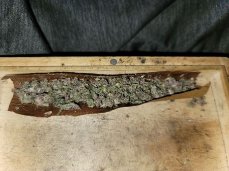 Review photo #2