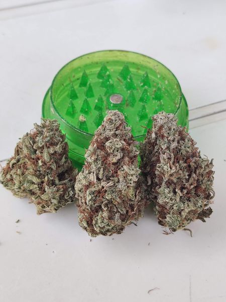 Review photo #2