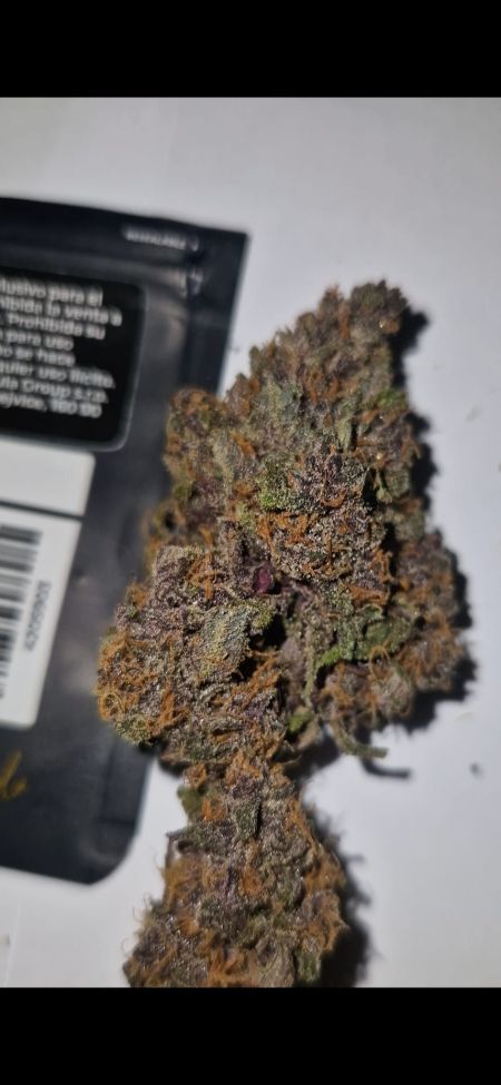 Review photo #4