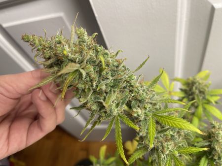 Review photo #1