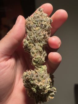 Review photo #2