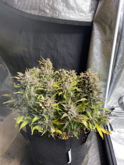Review photo #3