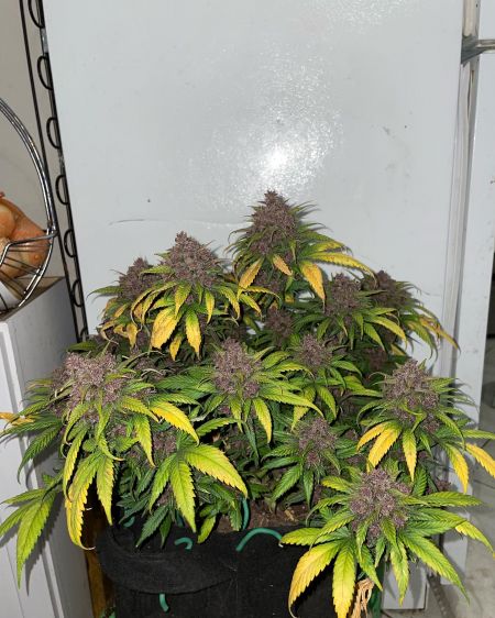 Review photo #4