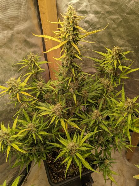 Review photo #5
