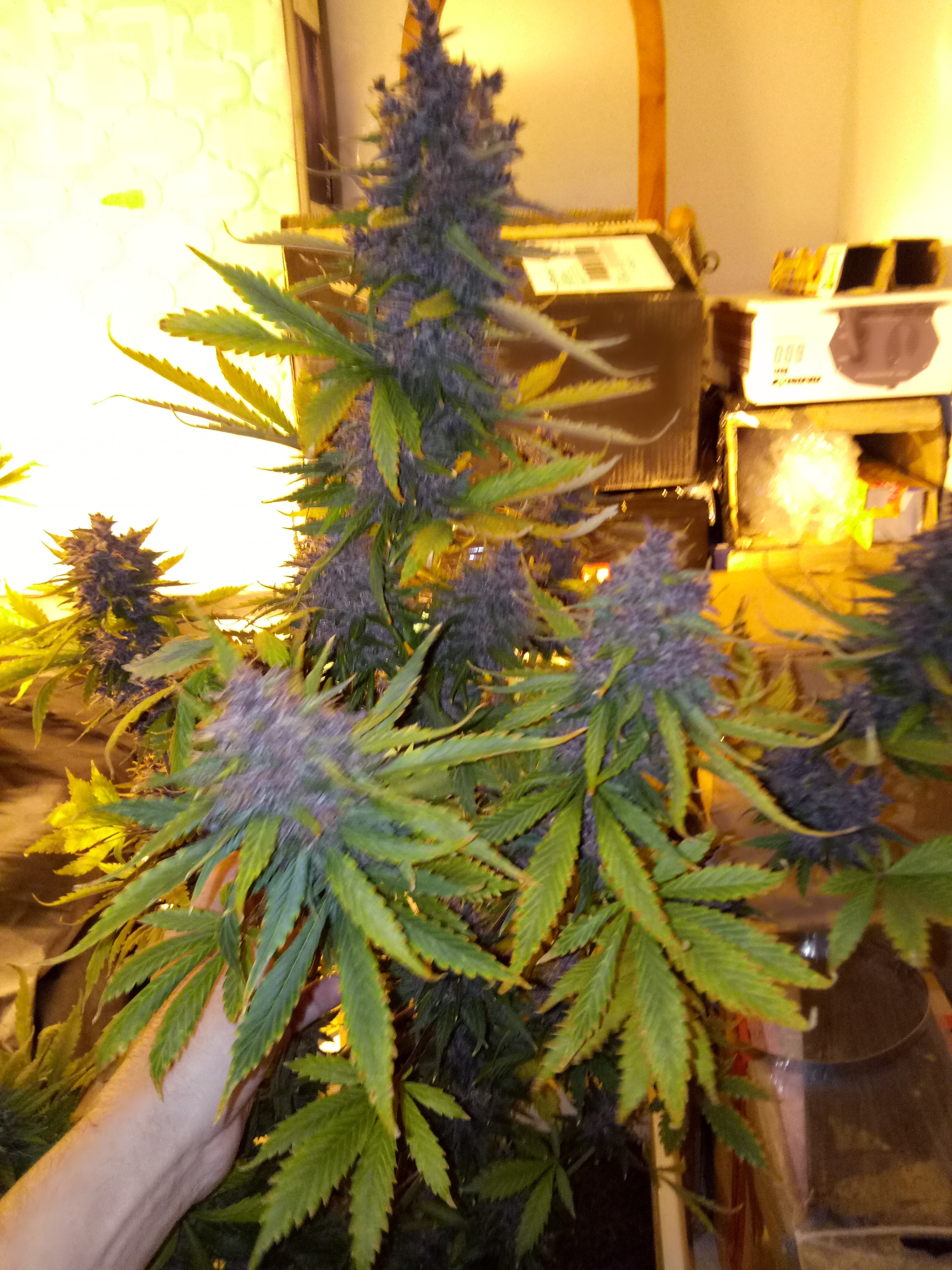 Review photo #4