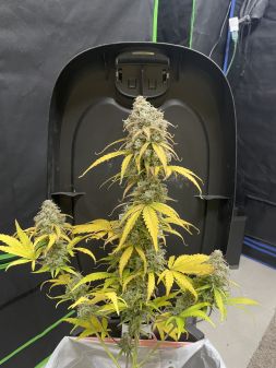 Review photo #3
