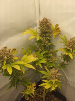 Review photo #7