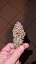 Review photo #3