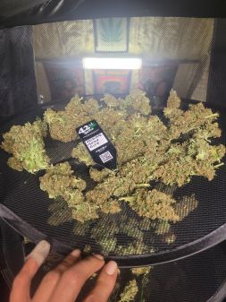 Review photo #3