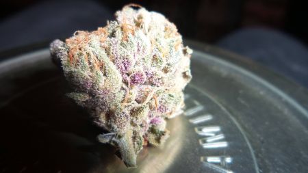 Review photo #2