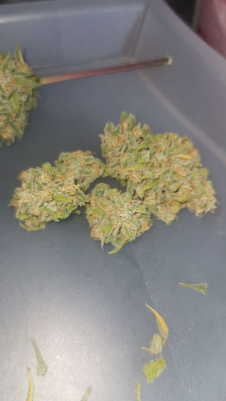 Review photo #2
