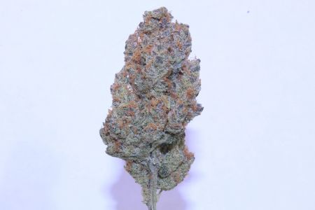 Review photo #5
