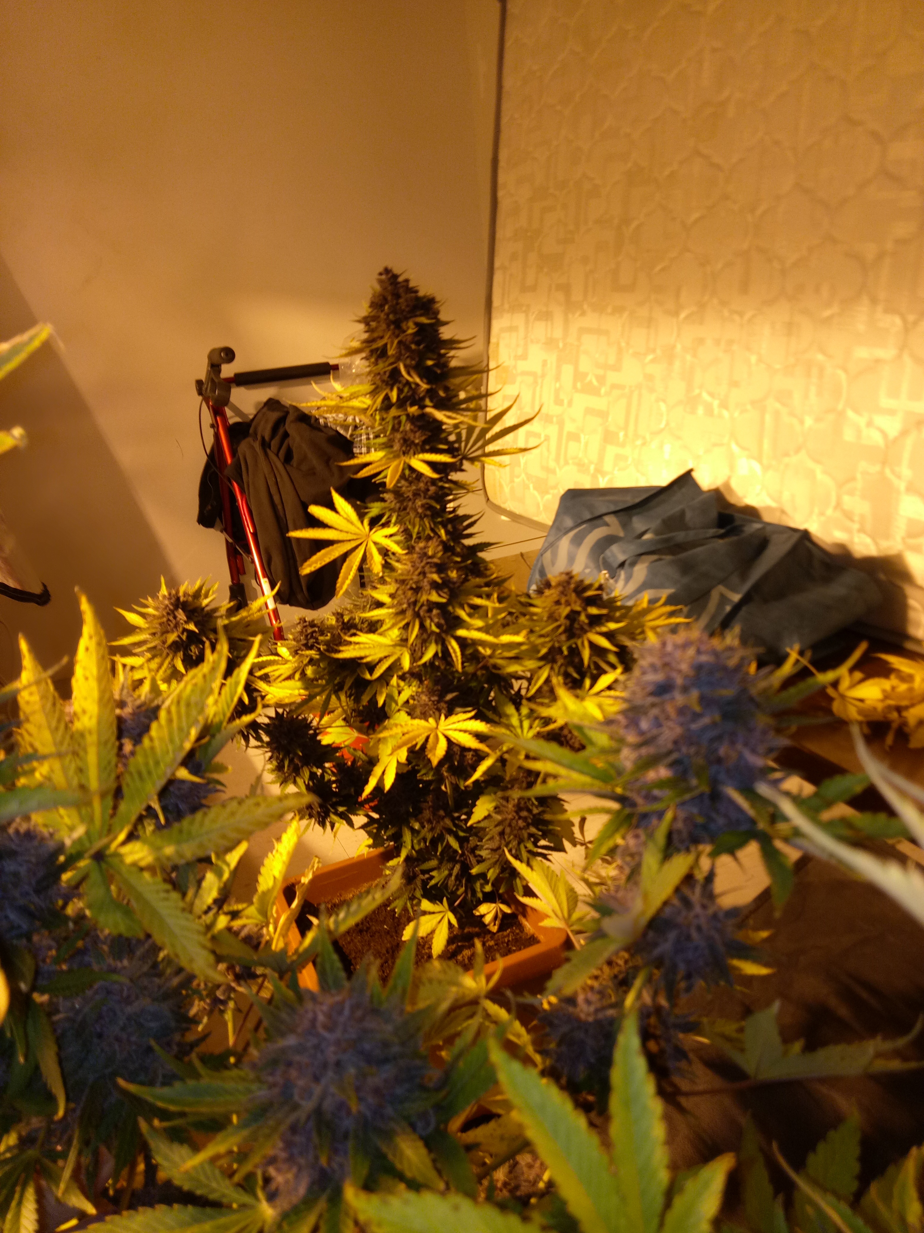 Review photo #1