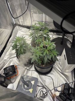 Review photo #1