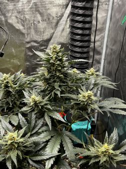 Review photo #2