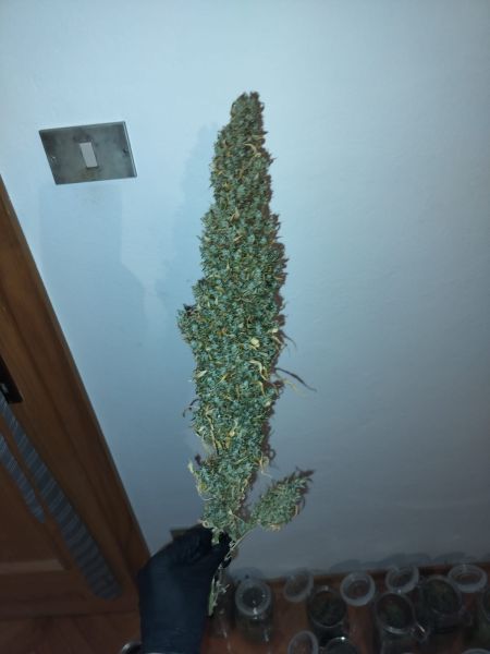 Review photo #4