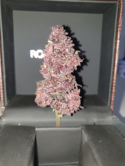 Review photo #1