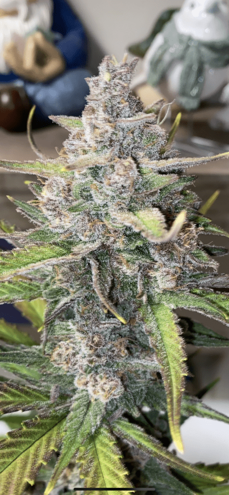 Review photo #1