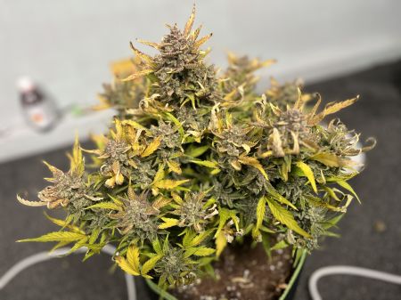 Review photo #3