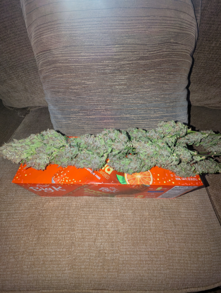 Review photo #8