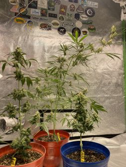 Review photo #1