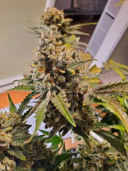 Review photo #5