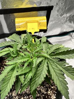 Review photo #5